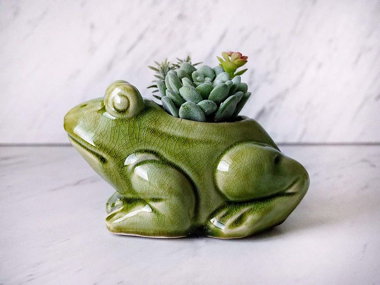 35 Best Frog Gifts That Surprise Who Love This Little Green