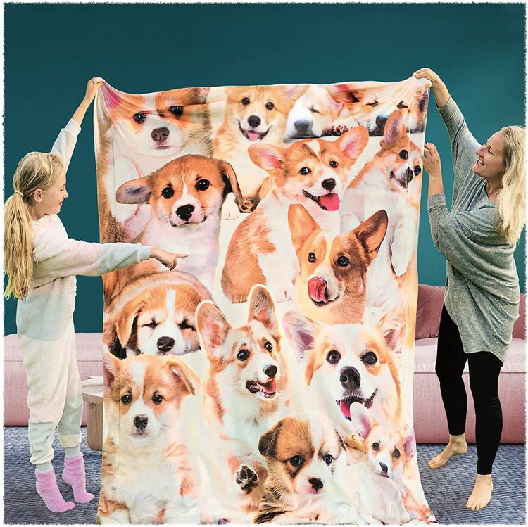 30 Best Gifts for a Corgi Owner