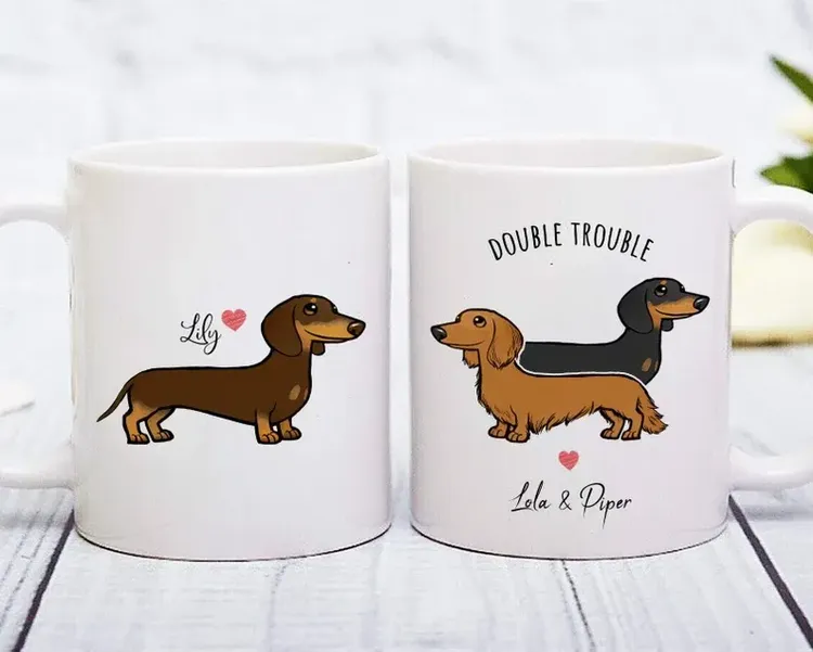 30 Best Gifts for a Dachshund Owner