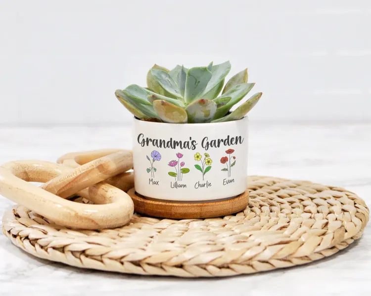 Custom Mini Plant Pot
