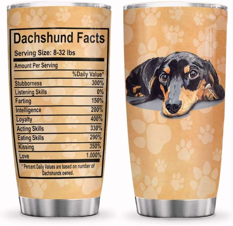 Dachshund Lovers Gift Guide  The Best Sausage Dog Gifts, Merchandise and  Accessories - DJANGO