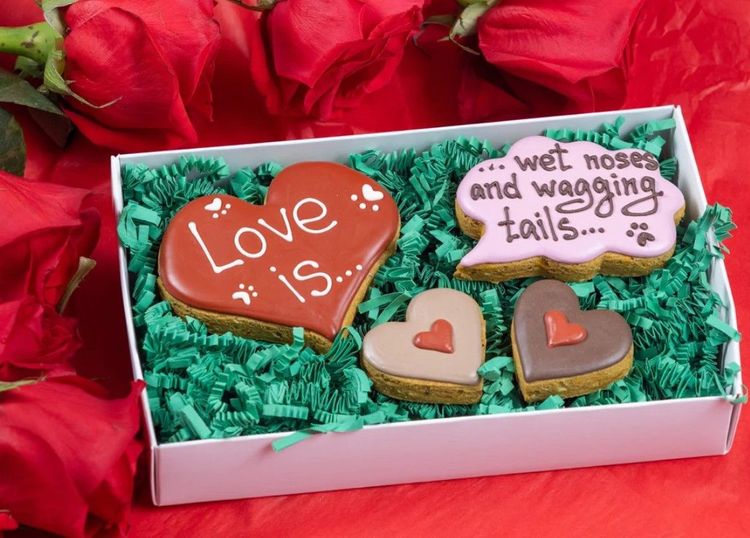 25 Valentine's Day Gifts for Dogs