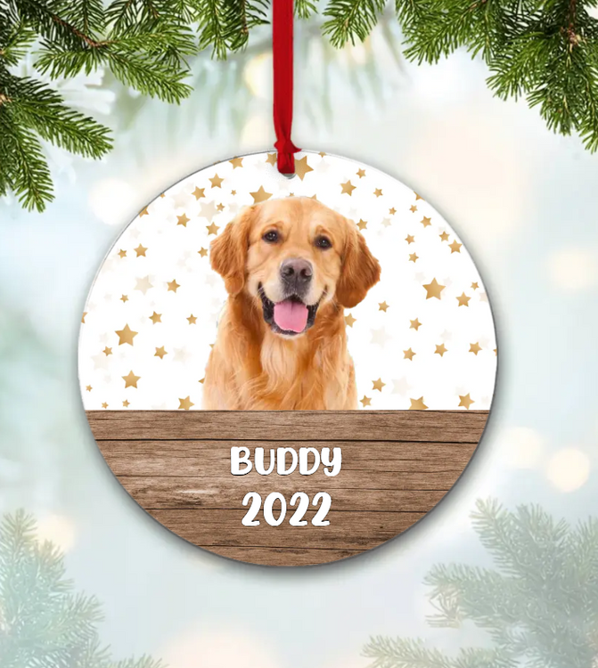 20 Fun Christmas Gift Ideas For Your Dog - Puppy Leaks