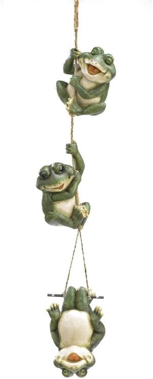 Funny Frog Things 