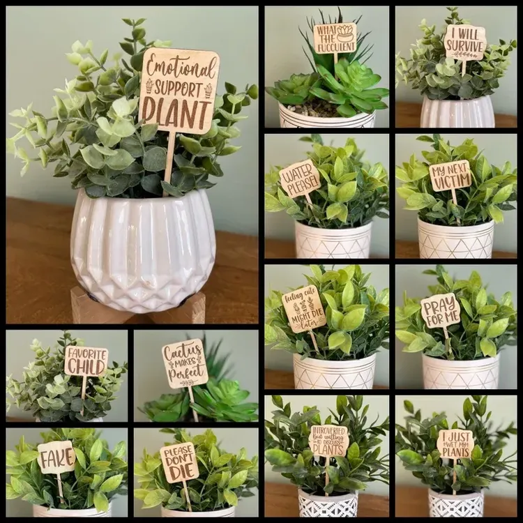 Funny Kitchen Towels, Plant Lover Gifts for Women Gardener, Plant