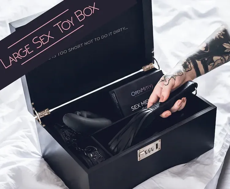 Lockable Adult Toy Storage Box