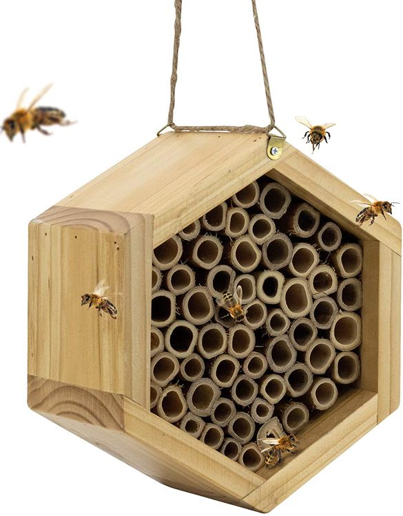 36 Best Gifts For Your Bee-Loving Bestie On Any Occasion – Loveable