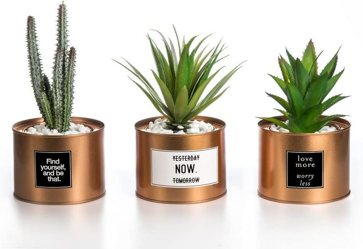 https://storage.googleapis.com/loveable.appspot.com/medium_Mini_Artificial_Plants_5c5f892281/medium_Mini_Artificial_Plants_5c5f892281.jpg