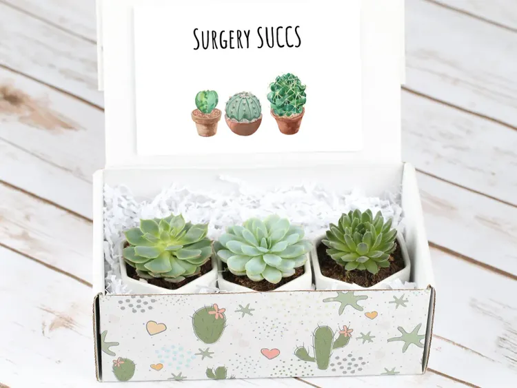 Surgery Succs Gift Box