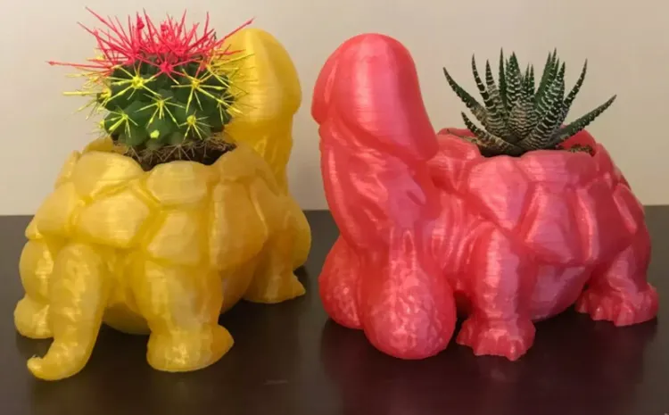 Turtle Dick Planter