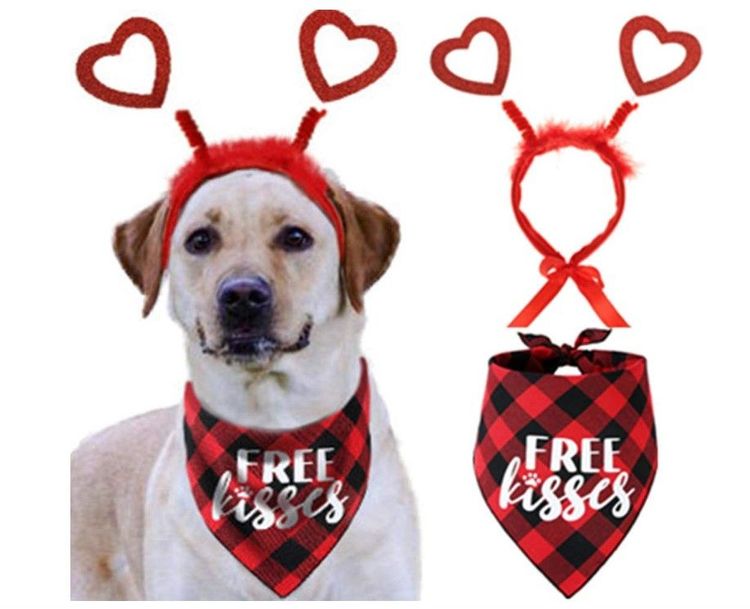 Valentine's Day Dog Dalmatian Costume Pink Collar Be Mine All Over