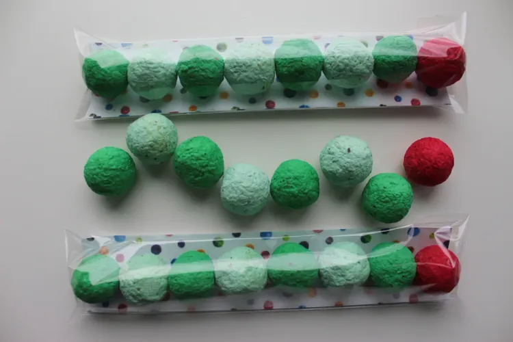 Hungry Caterpillar Wildflower Seed Bomb