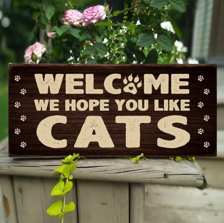 Welcome We Hope You Like Cat Rectangle Wooden Sign
