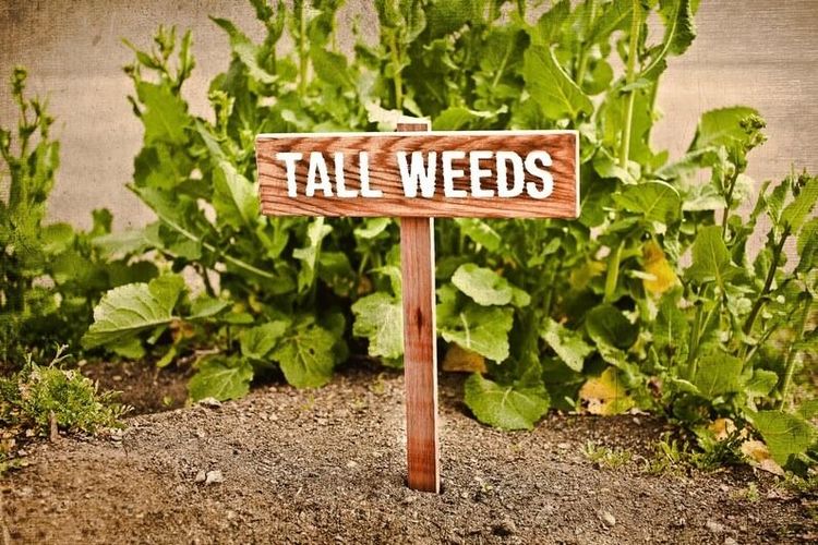 Tall Marker Weeds Sign