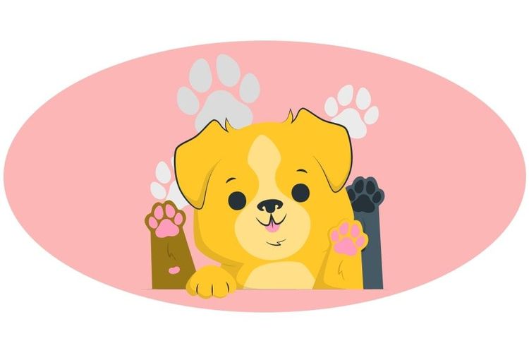 https://storage.googleapis.com/loveable.appspot.com/medium_gifts_for_puppies_5ca166b77d/medium_gifts_for_puppies_5ca166b77d.jpg