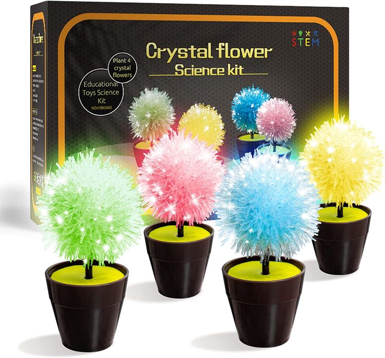 Crystal Growing Kit