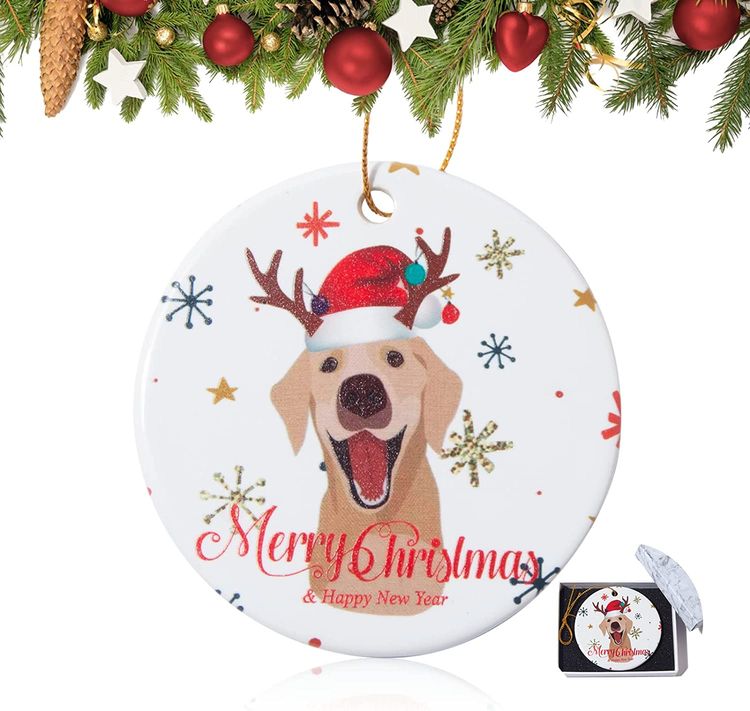 Christmas Hanging Ornament