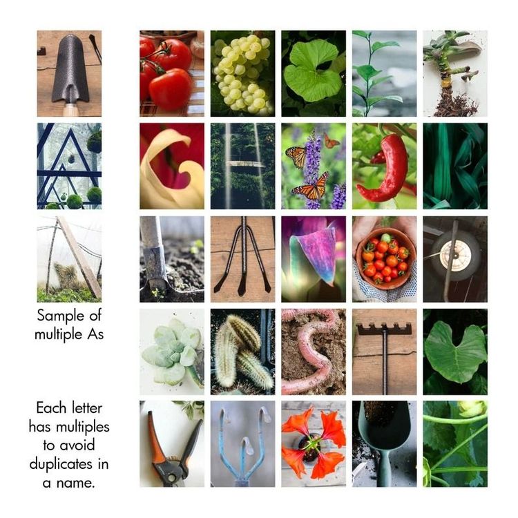 Gardening Name Art