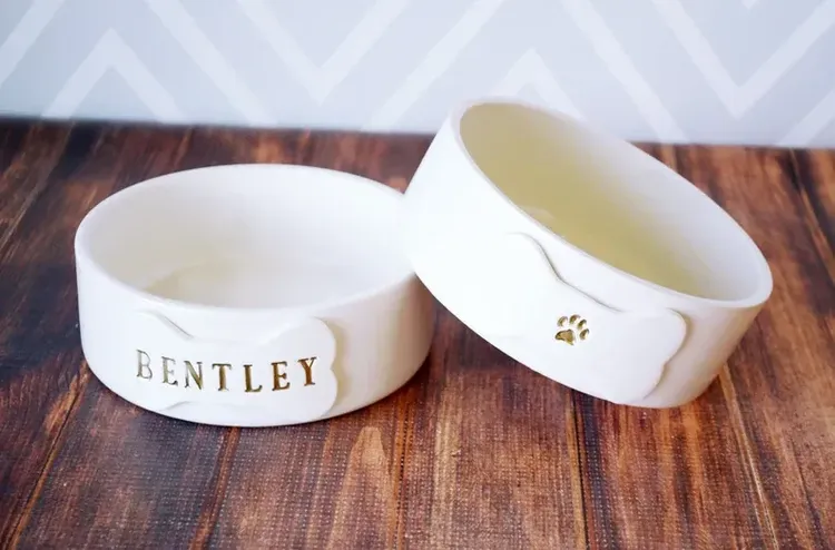 21 Fun Gifts For New Puppy Parents￼ - Fidose of Reality