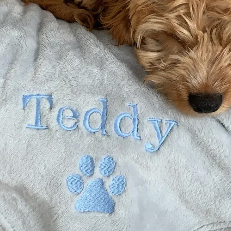 21 Fun Gifts For New Puppy Parents￼ - Fidose of Reality