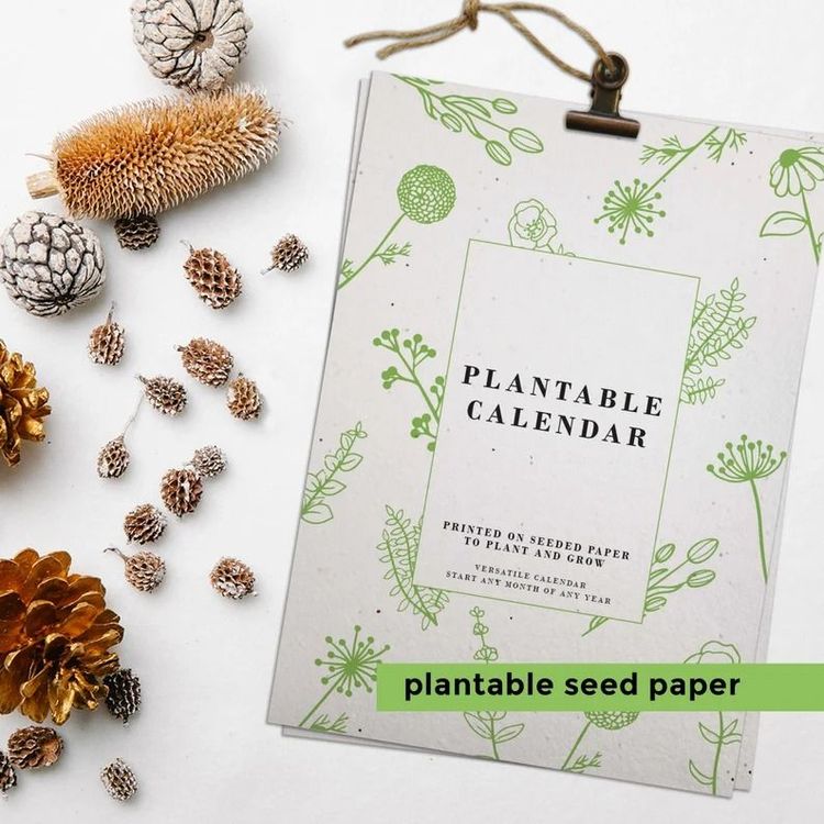 Seed Paper PLANTABLE CALENDAR 2023