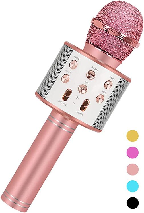 Karaoke Microphone