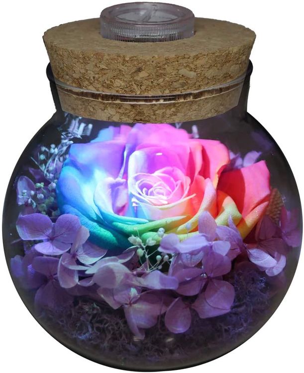 Colorful Mood Light Wishing Bottle