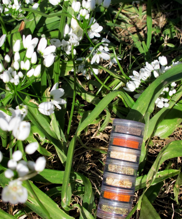 Spice Rack Organic Set of 7 Herbs