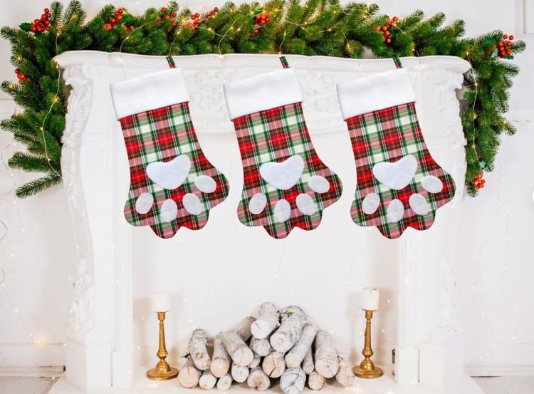 Animal Paw Stocking
