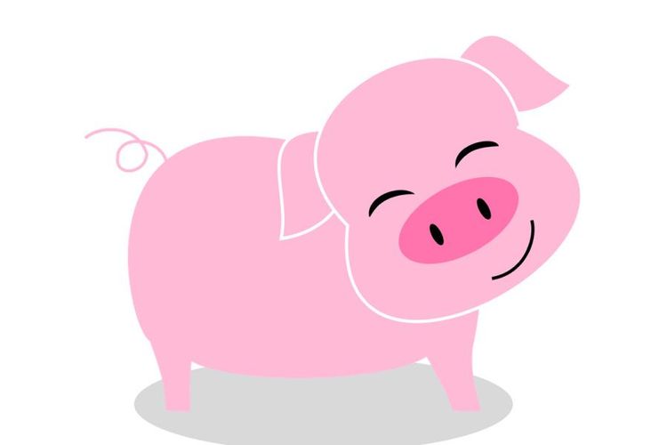 Pig Drink More Water - Water Bottle Tracker