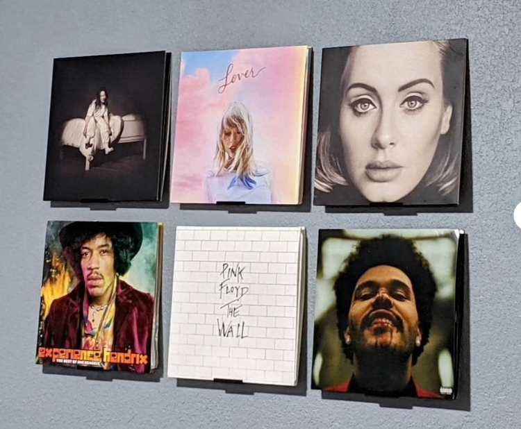 Vinyl Record Shelf