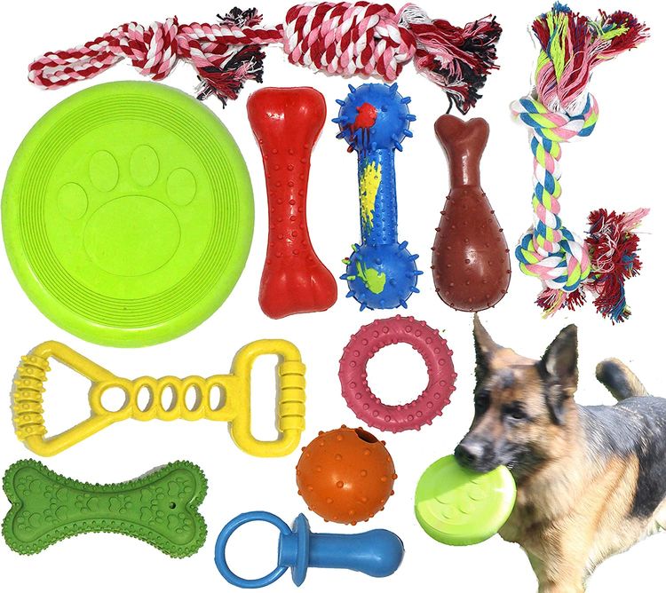 Dog Plush Toy and Rope Toy