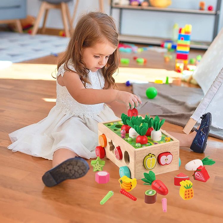 Shape Sorting Toys