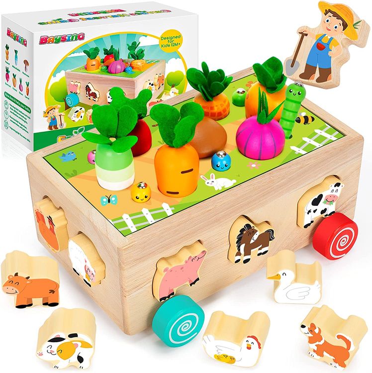 Educational Wooden Shape Sorting Toys