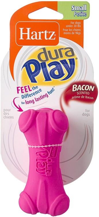Squeak Bone Toy