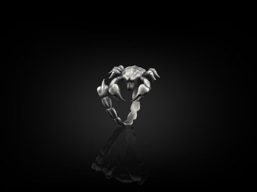 Scorpio Zodiac Sign Ring