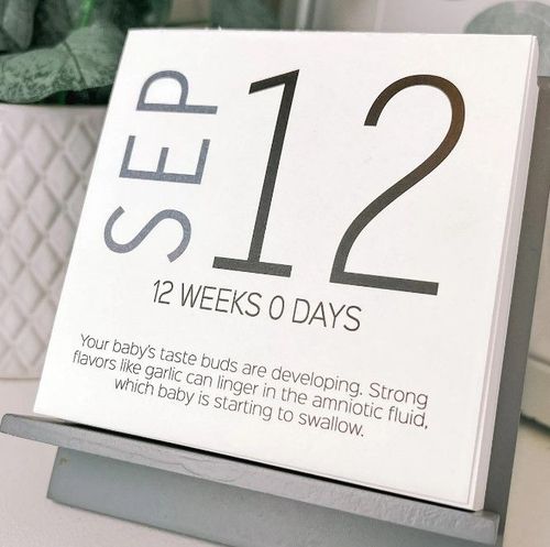 Baby Countdown Calendar