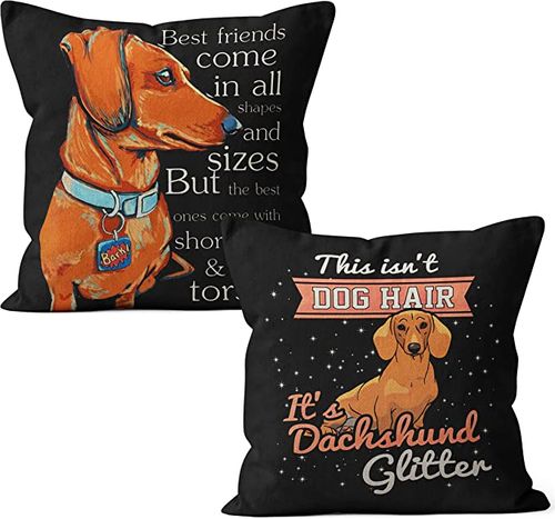 30 Best Gifts for a Dachshund Owner