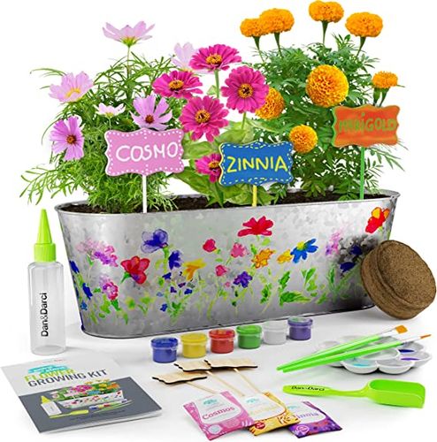 Flower Growing Kit 5 Year Old Birthday Gifts