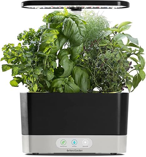 Herb Seed Pod Kit