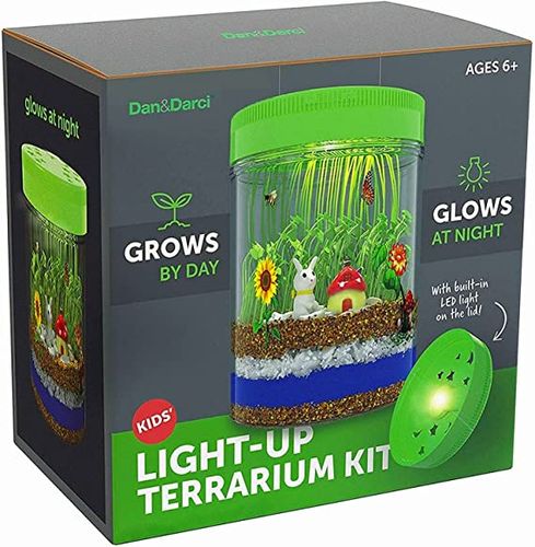 Light-Up Terrarium Kit for Kids