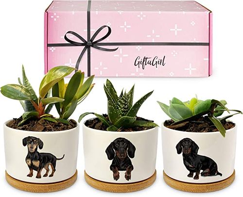 Gifts for clearance dachshund lovers