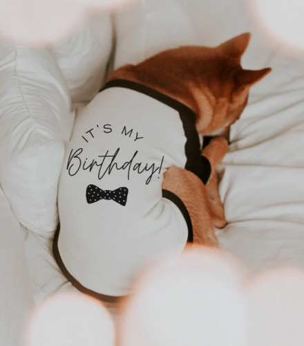 https://storage.googleapis.com/loveable.appspot.com/small_birthday_bow_tie_tee_07be9d9e11/small_birthday_bow_tie_tee_07be9d9e11.png