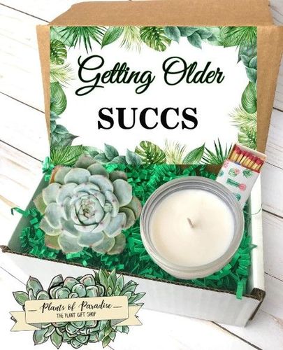 Succulent Gift Box