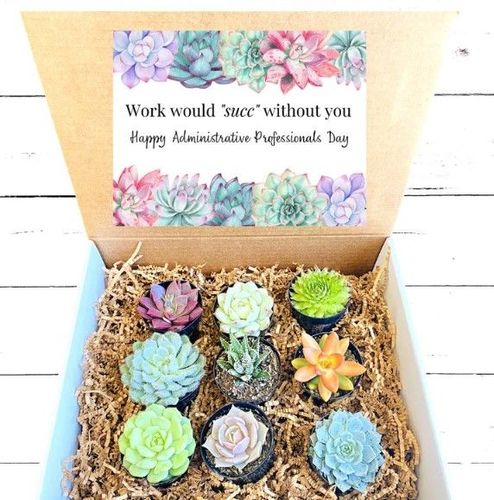 8 Creative Gifts for Professional Admin Day - Zeel