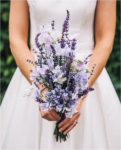 LovelyLavenderFlowers