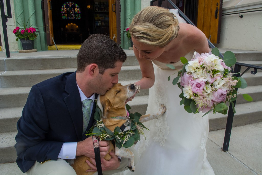 dogatwedding