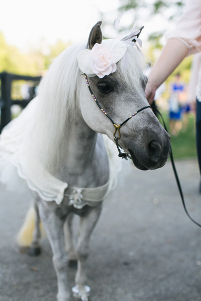 real-wedding-inspiration]