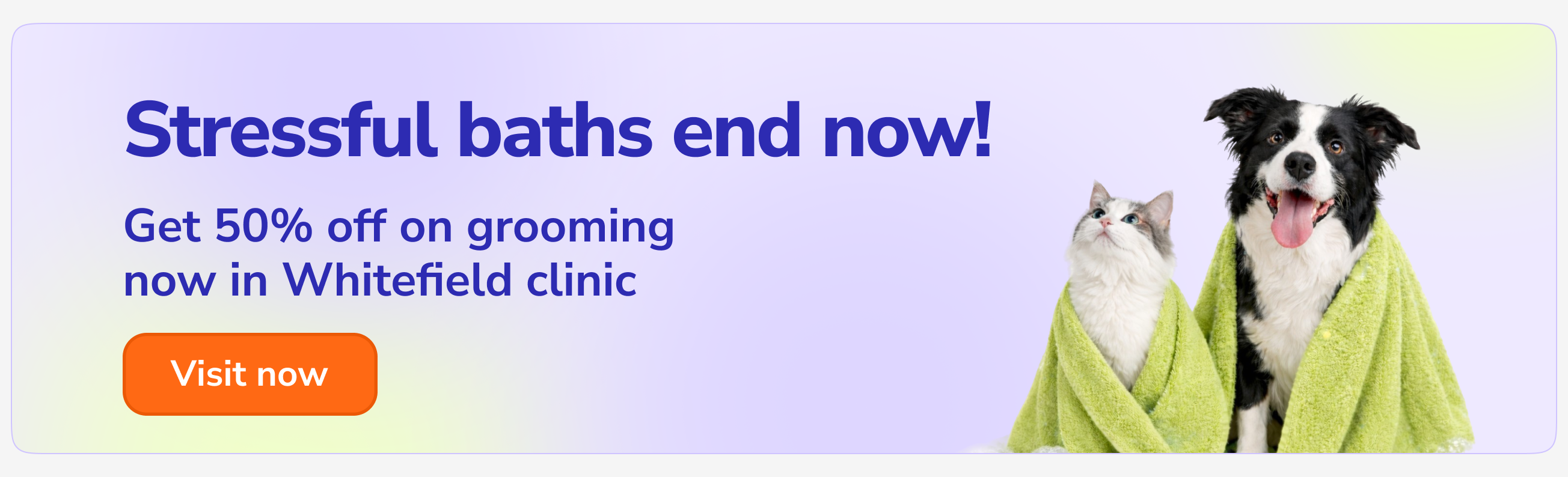 Supertails premium pet clinic and dog grooming center facility in Whitefield Bangalore near Hopefarm Junction.
