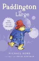 Book Cover for Paddington At Large by Michael Bond